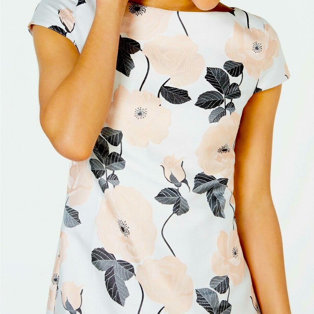 Floral Cap-Sleeve A-Line Dress in Blush and Black